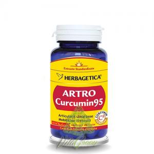 ARTRO CURCUMIN95 60 capsule